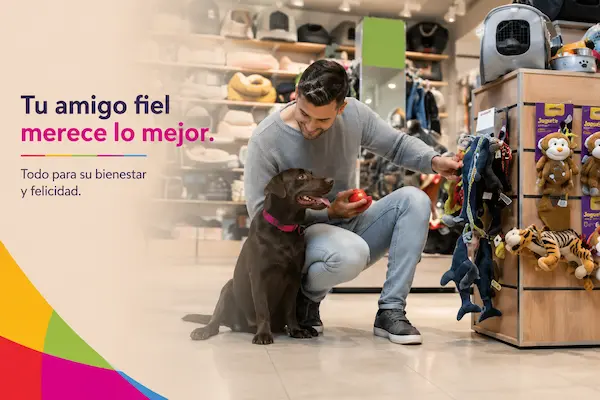 Frases para promocionar un negocio de mascotas