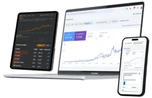 servicio seo agencia marketing digital onza bolivia