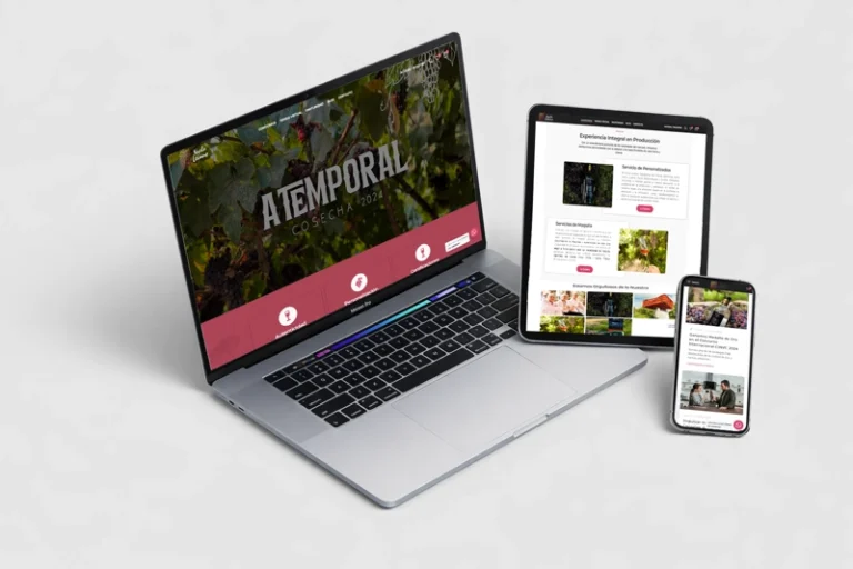 Optimización On-Page